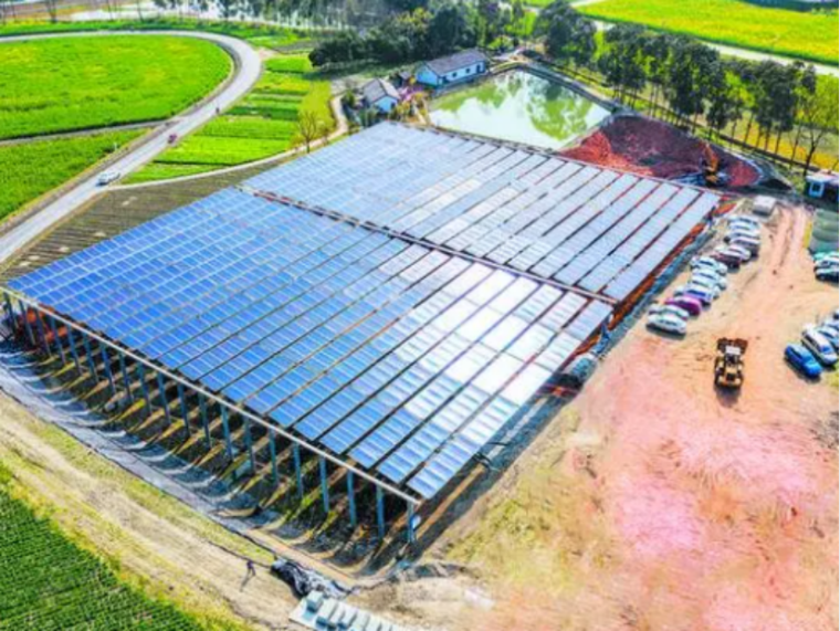 1701506730856536.png 8.png